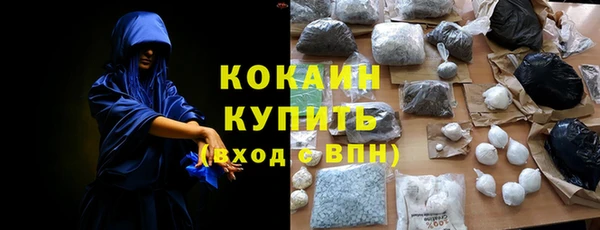 PSILOCYBIN Волосово