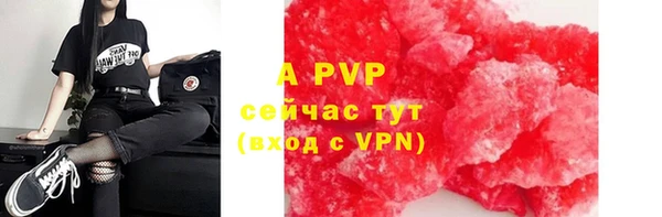 PSILOCYBIN Волосово