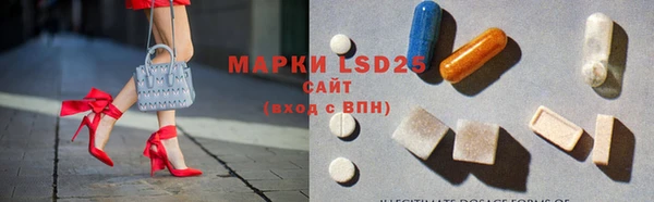 PSILOCYBIN Волосово
