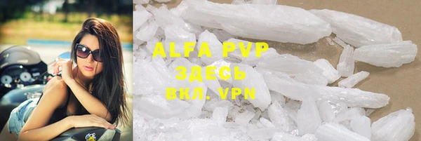 PSILOCYBIN Волосово