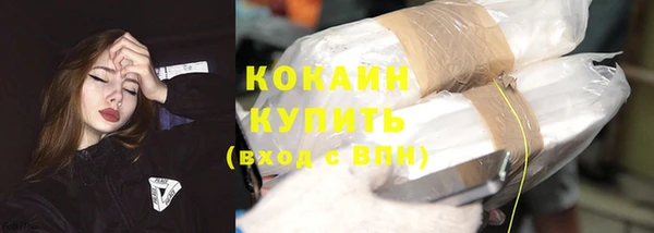 PSILOCYBIN Волосово