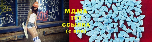 PSILOCYBIN Волосово