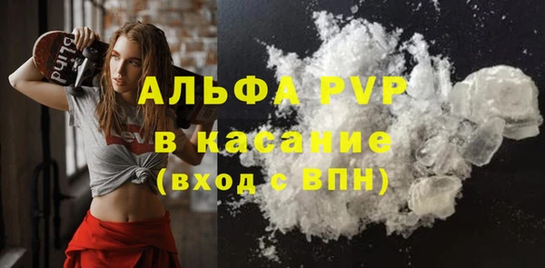 PSILOCYBIN Волосово