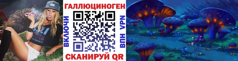 Псилоцибиновые грибы Psilocybe Норильск